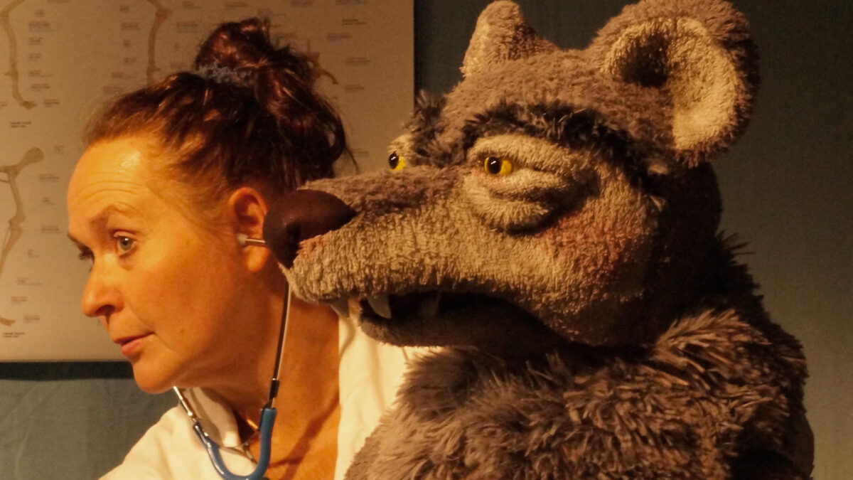 Rotkäppchen und Herr Wolf