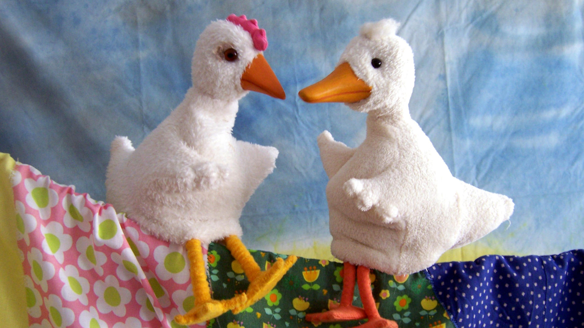 Hühnerei und Entengrütze